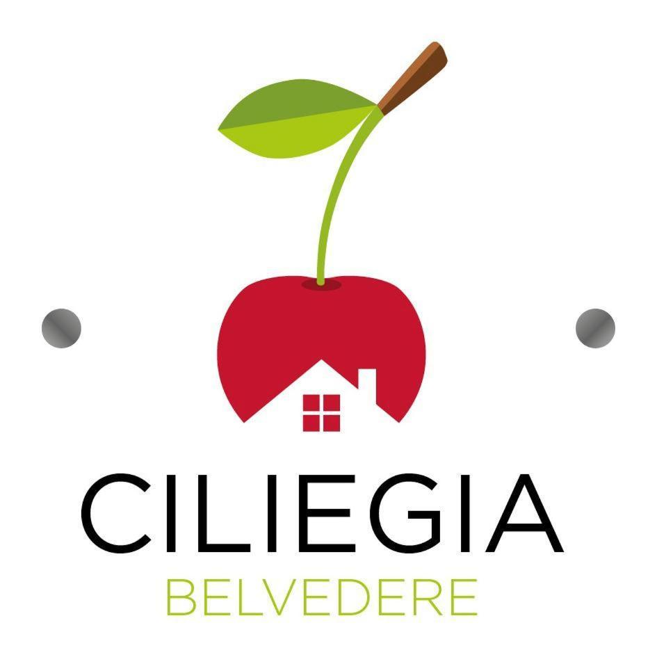 Вілла Ciliegia Di Lari - Attico Екстер'єр фото